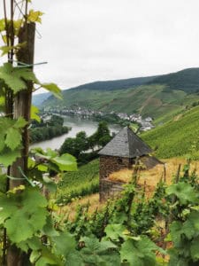 Zell-Mosel-©1001Reisetraeume.de-026