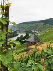 Zell-Mosel-©1001Reisetraeume.de-026