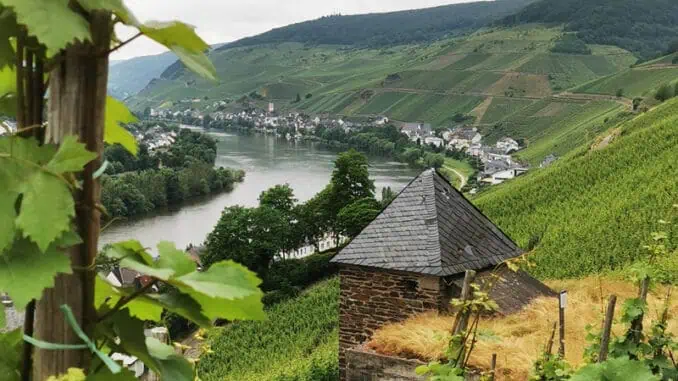 Zell Mosel ©1001Reisetraeume.de 026