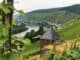 Zell Mosel ©1001Reisetraeume.de 026