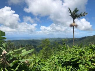 discover puerto rico el yunque rio grande ©discover puerto rico peter greenberg productions