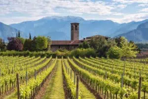 franciacorta-vigneti-panorama-©m-rossetti