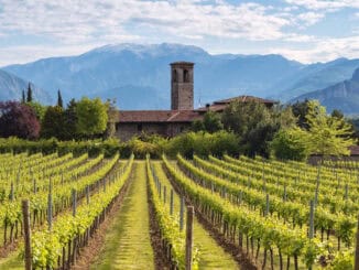 franciacorta vigneti panorama ©m rossetti