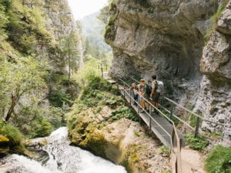 Familienwandern Mostviertel5©NiederoesterreichWerbung AndreasJakwerth