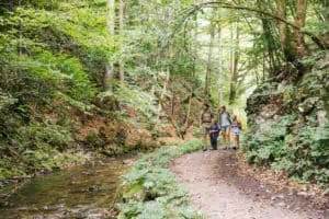 Familienwandern Mostviertel6©NiederoesterreichWerbung AndreasJakwerth
