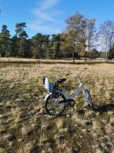 Nationalpark De Hoge Veluwe ©Duering 04607