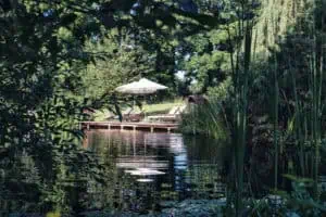 Naturbadeteich des Biohotel Schlossgut Oberambach ©Robert Kittel