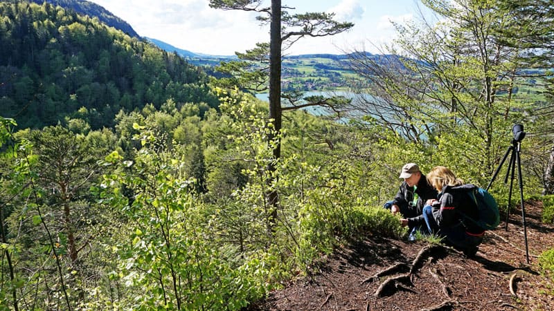 Naturfuehrung im Buchenwald ©Fuessen Tourismus und Marketing Ingrid Yasha Roesner