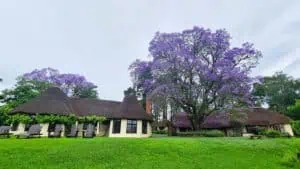 Eco Lodge
