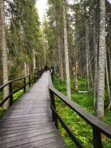 Kvarken Schweden ©Duering 147