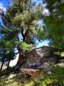 Patscherkofel ©Duering 14