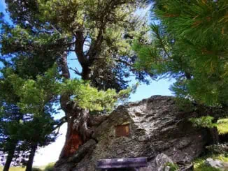 Patscherkofel ©Duering 14