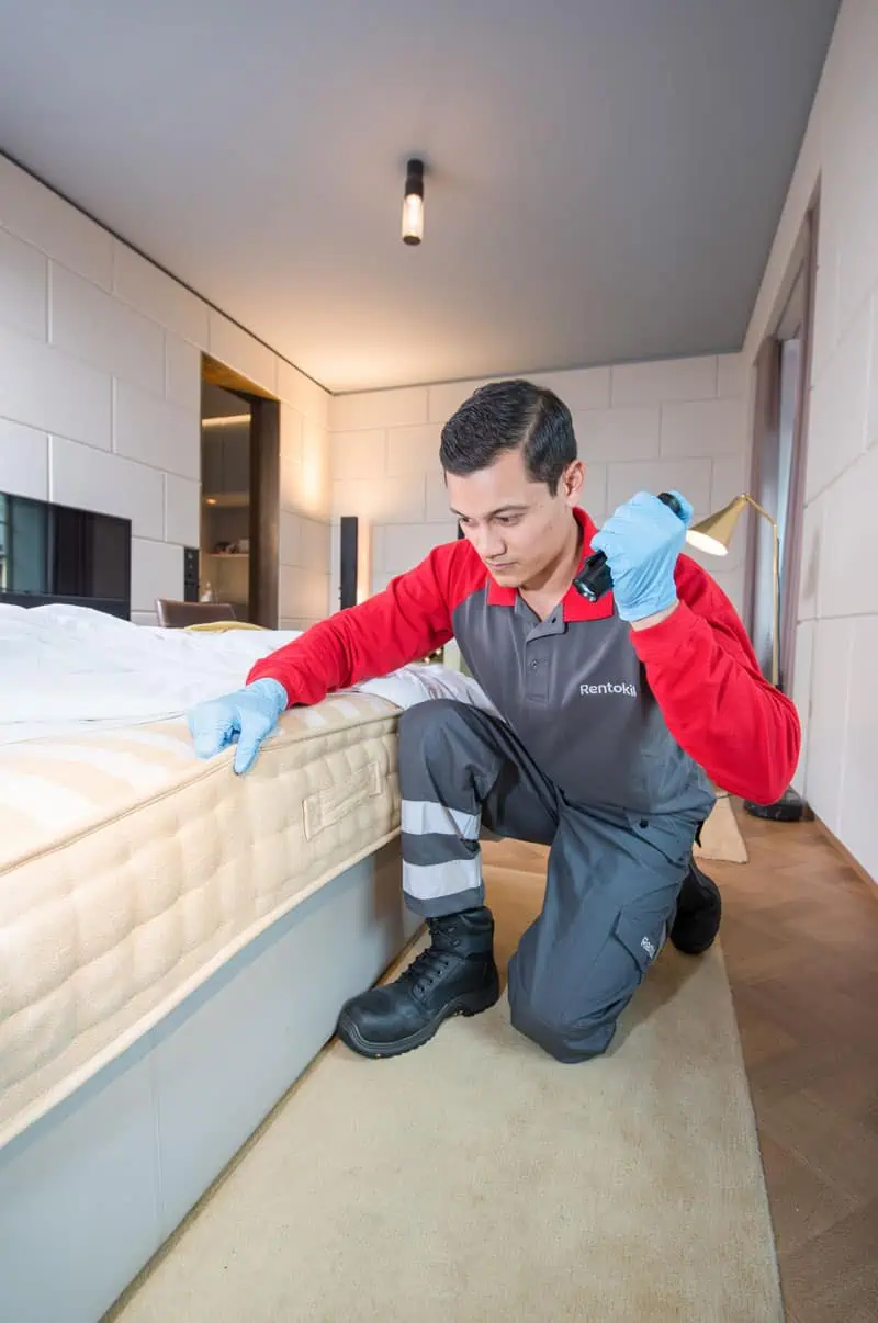 Techniker Hotelzimmer ©Rentokil Initial