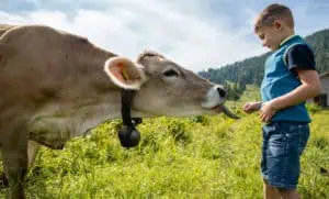 Almen ©APTGardaDolomitiSpA