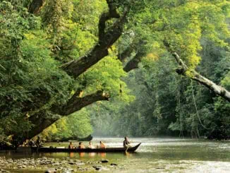 Taman Negara ©Tourism Malaysia