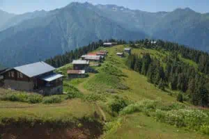Rize Pokut