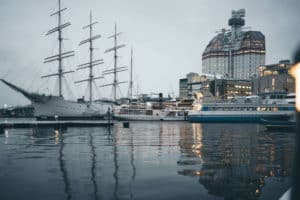 Viking ©Mika AberraGoeteborg Co