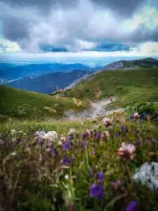Wiener-Alpen Puchberg am Schneeberg