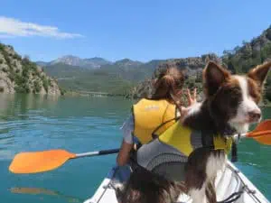 Kanu-Tour mit Hund