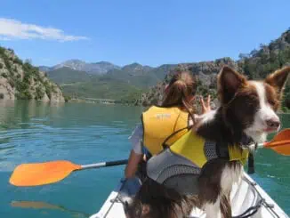 Kanu-Tour mit Hund