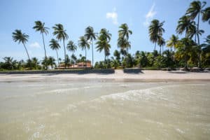 Praia de Mangue Maragogi 