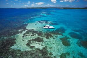 Stingray City Antigua