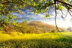 La Palma