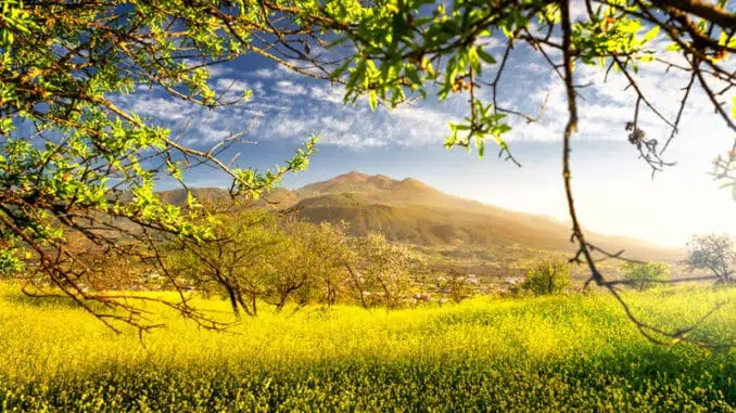 La Palma