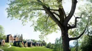 Adler-Lodge