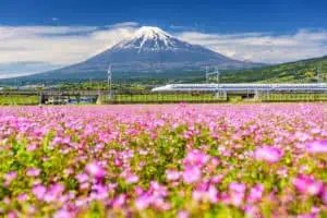 Mount-Fuji