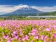 Mount-Fuji