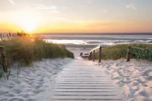 Duenen auf Langeoog ©Tourismus Service Langeoog Falk