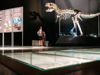 Dinosaurier Museum