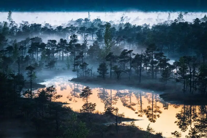 Kemeru tirelis Lettland ©Eriks Zilbalodis