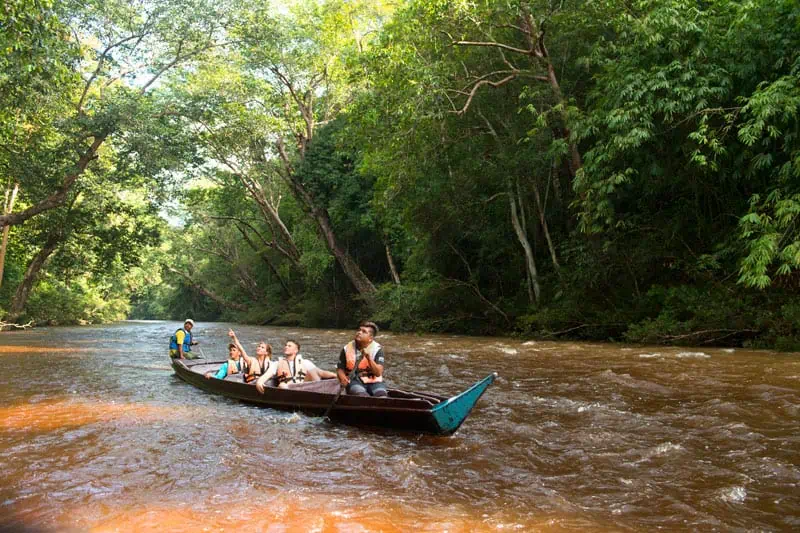 Taman Negara Pahang ©Tourism Malaysia
