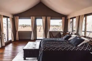 Tented Camp Zelte innen ©Ohorongo Game Reserve