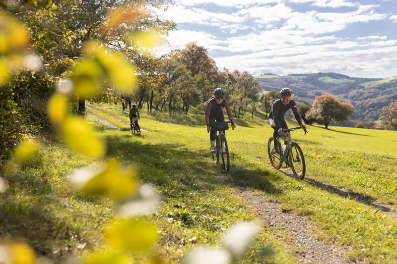 Tourenideen Mit Dem Gravelbike In Niederösterreich - 1001 Reiseträume