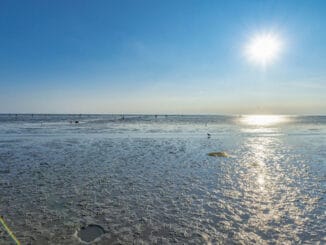 Buesum Watt Horizont ©TMS Buesum GmbH