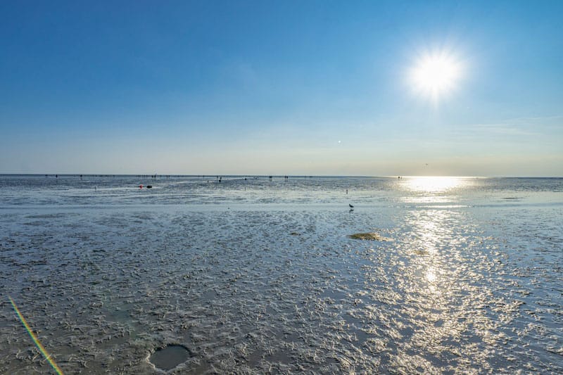 Buesum Watt Horizont ©TMS Buesum GmbH