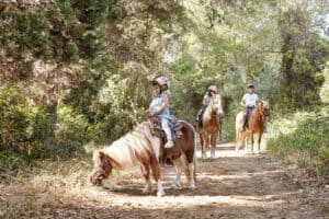 Mandola Rosa Enjoy horse riding