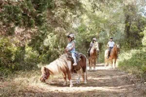 Mandola Rosa Enjoy horse riding