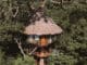 Treehouse Lodges ©Promperu