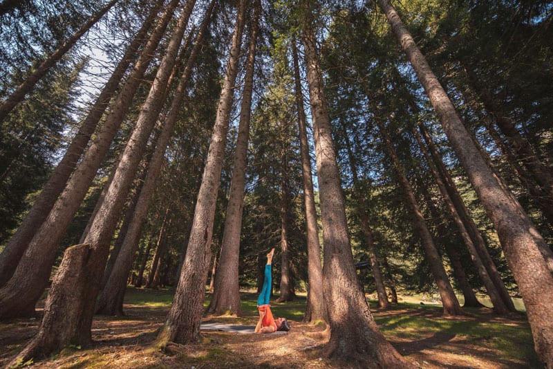 Trentino Forest Campigliodolomiti ©Modica Federico