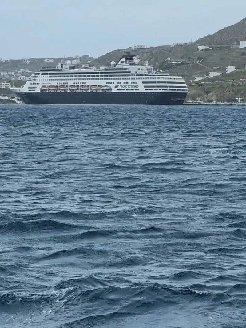 Vasco Da Gama ©Detlef Duering 003