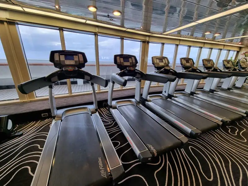 Vasco Da Gama ©Detlef Duering 012