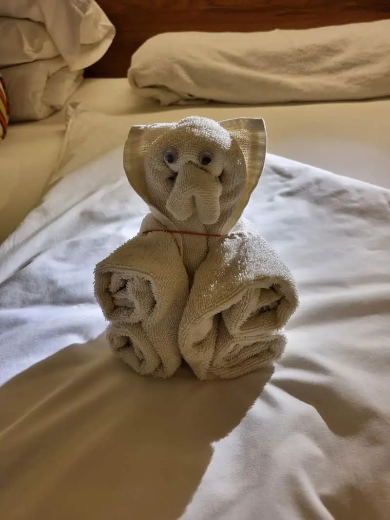 Vasco Da Gama ©Detlef Duering 025