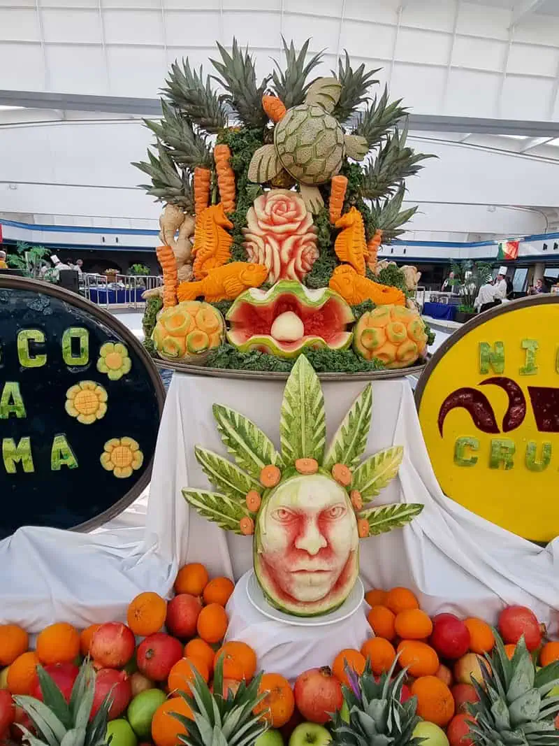 Vasco Da Gama ©Detlef Duering 038