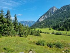 Fuerstenhaus Achensee ©Detlef Duering 14