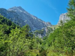 Fuerstenhaus Achensee ©Detlef Duering 16