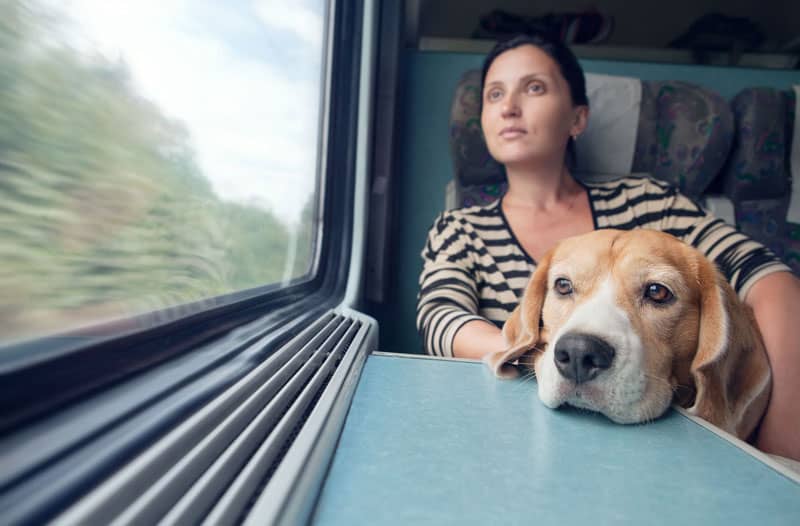 Bahnurlaub mit Hund ©Getty Images FTI